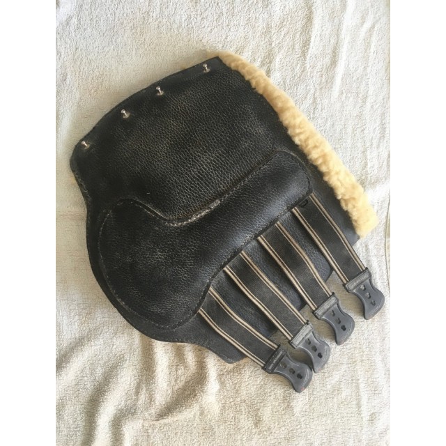 Protection dressage mouton