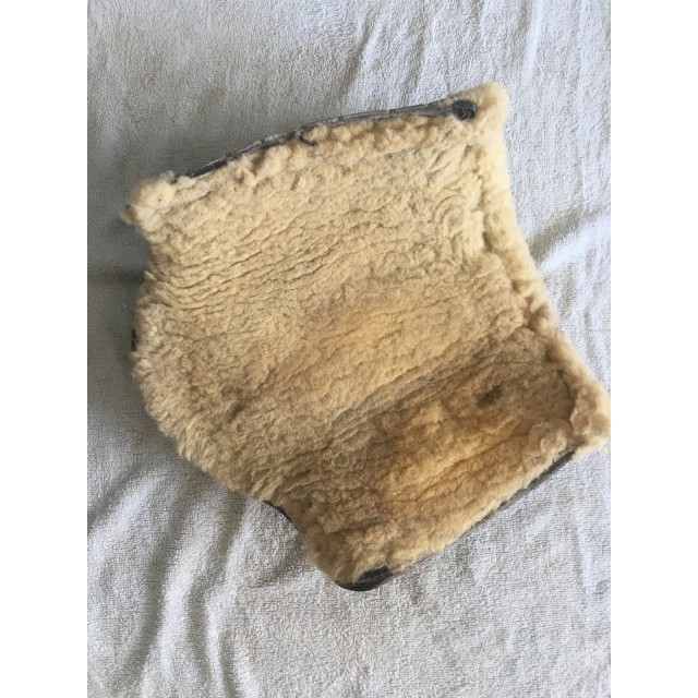 Protection dressage mouton