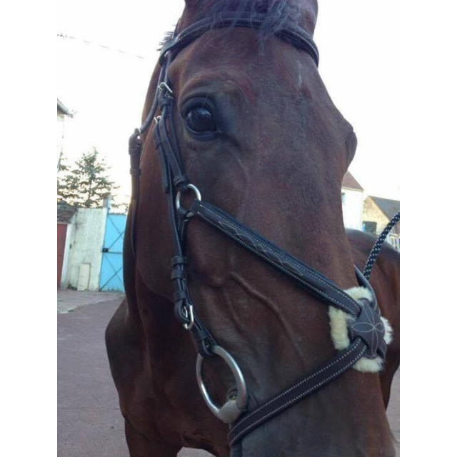 Bridon Privilège Equitation