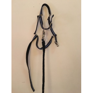Licol + longe