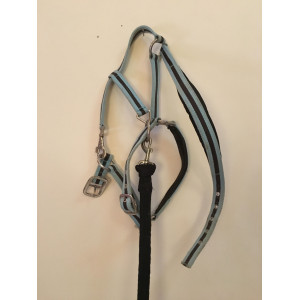Licol + longe