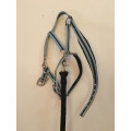 Licol + longe