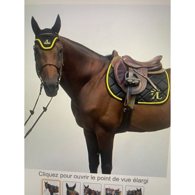 Ensemble Alexandra Ledermann