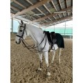 Couvre rein kentucky heavy fleece