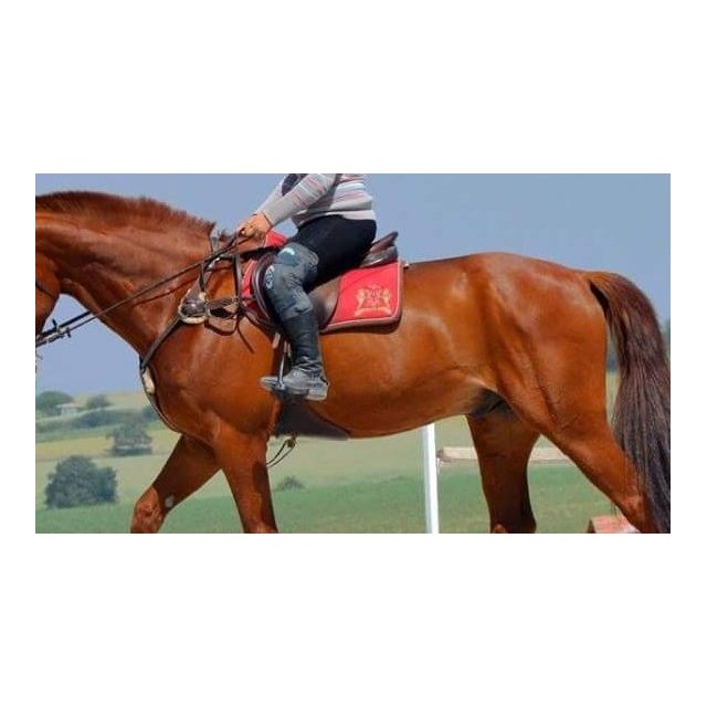 Tapis Lamicell Bordeaux liseré marron