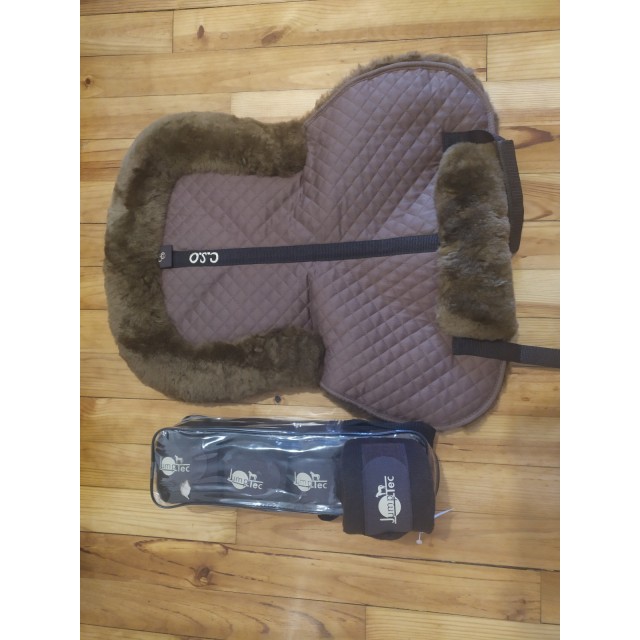 Amortisseur cso marron Bonjour,