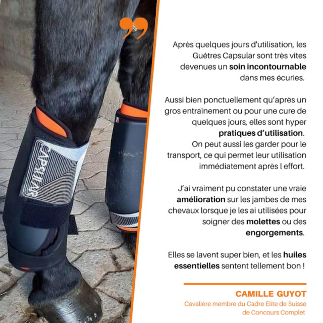 Guêtre de récupération akhal