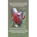 Selle bicolore sans marque