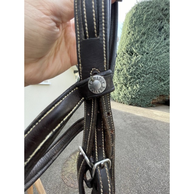 Filet poney sellerie fouilloux