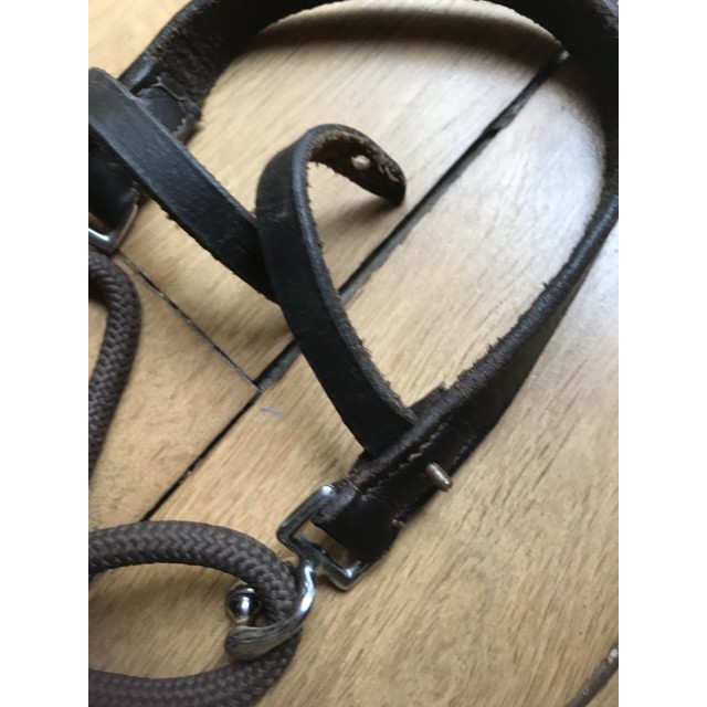 Gogue taille cheval