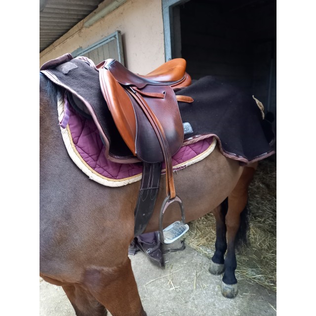 Couvre reins laine