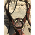 Collier de chasse taille cheval