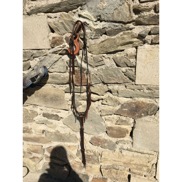 Collier de chasse taille cheval