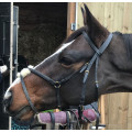 Filet noir taille poney