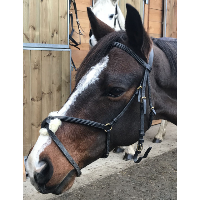 Filet noir taille poney