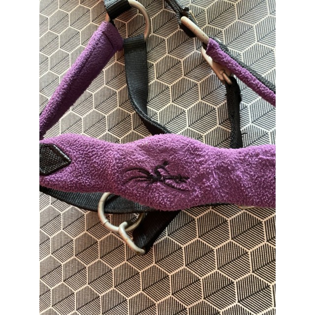 Licol Equi’theme Violet