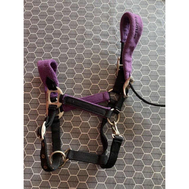 Licol Equi’theme Violet