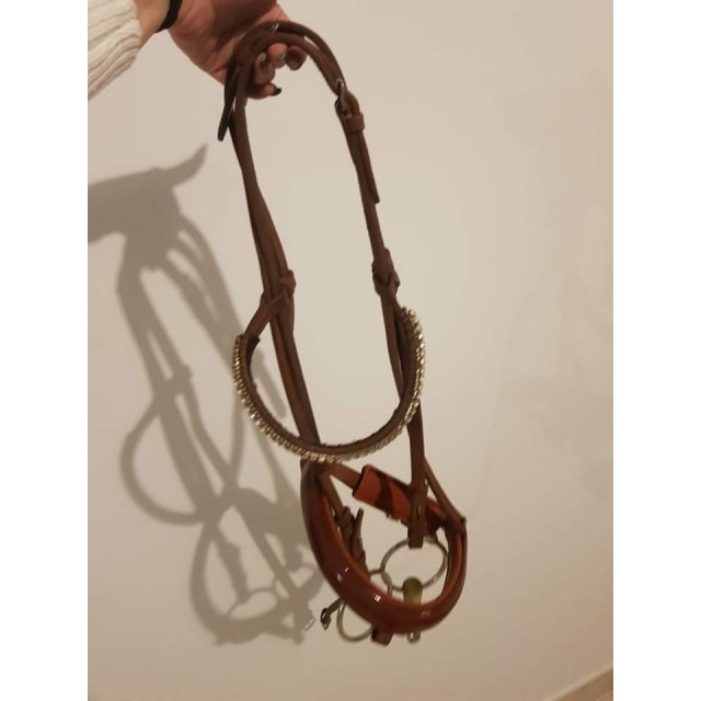 Filets cheval