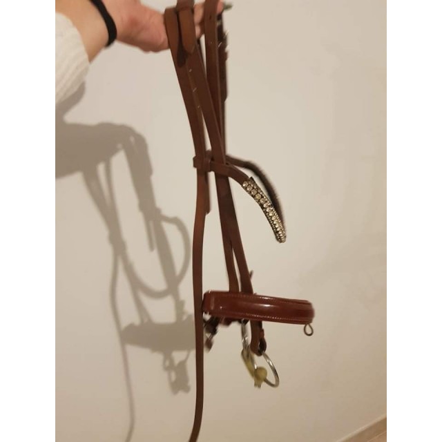 Filets cheval