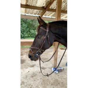 Filet Éric Thomas avec rênes