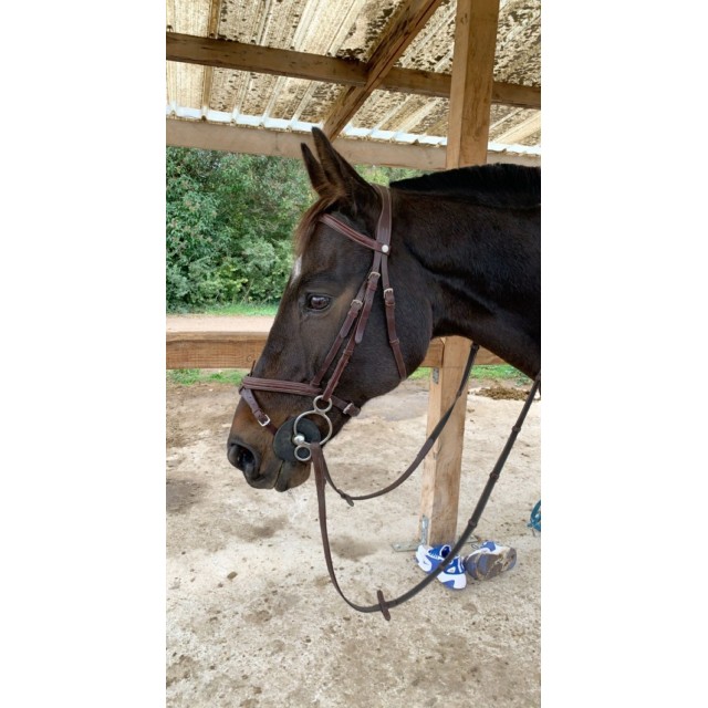 Filet Éric Thomas avec rênes