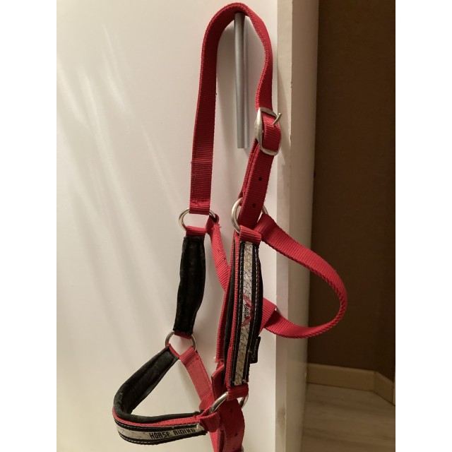 Licol rouge avec sa longe