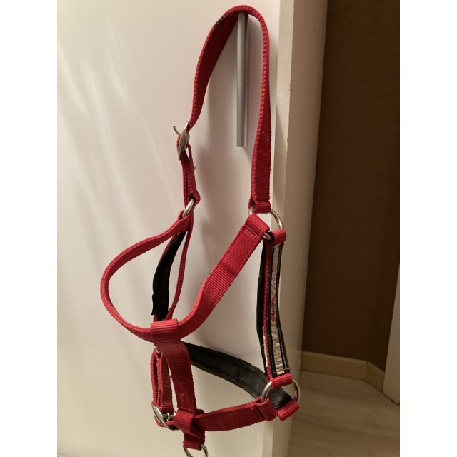 Licol rouge avec sa longe