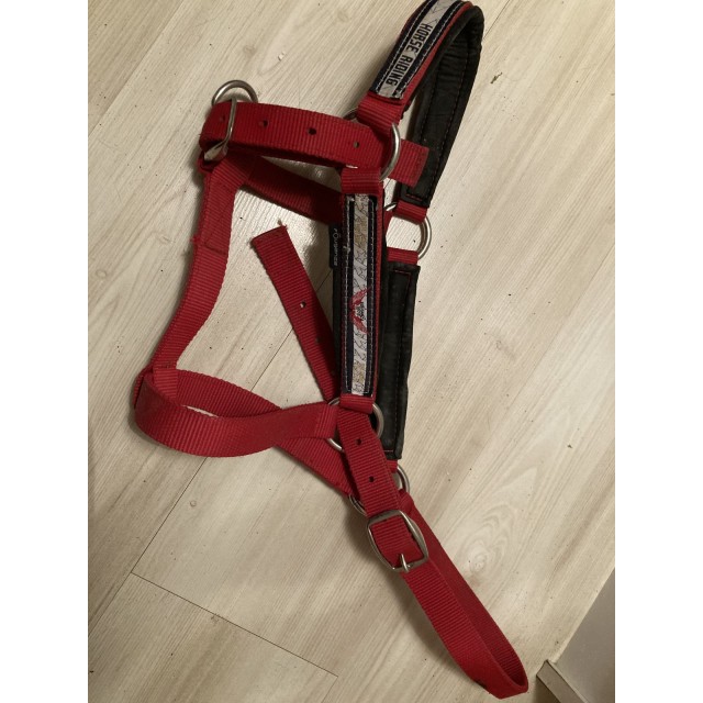 Licol rouge avec sa longe