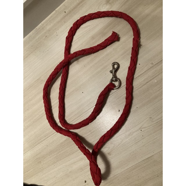Licol rouge avec sa longe