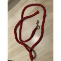 Licol rouge avec sa longe