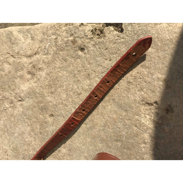 Filet havane poney Fouganza