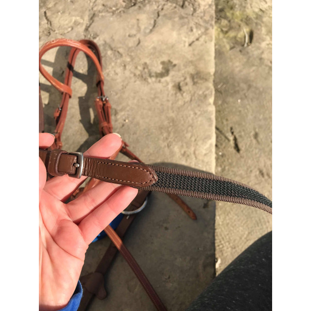 Filet havane poney Fouganza