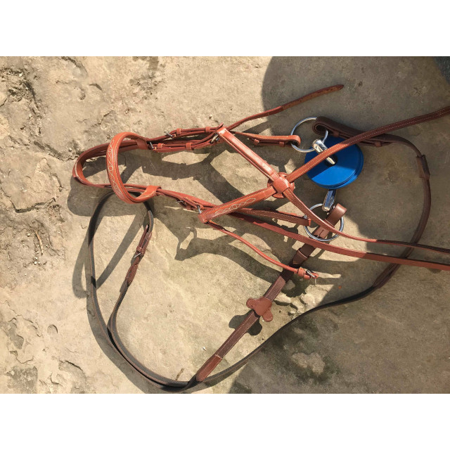 Filet havane poney Fouganza