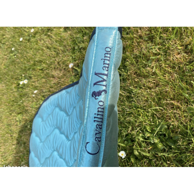 tapis cavallino marino dressage