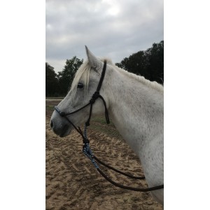 Licol éthologique et longe