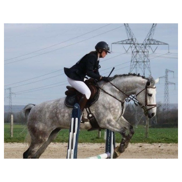 Veste Equitheme Bleu marine