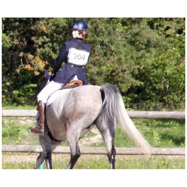 Veste Equitheme Bleu marine