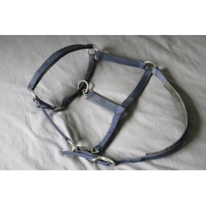 Licol bleu marine taille cheval fouganza