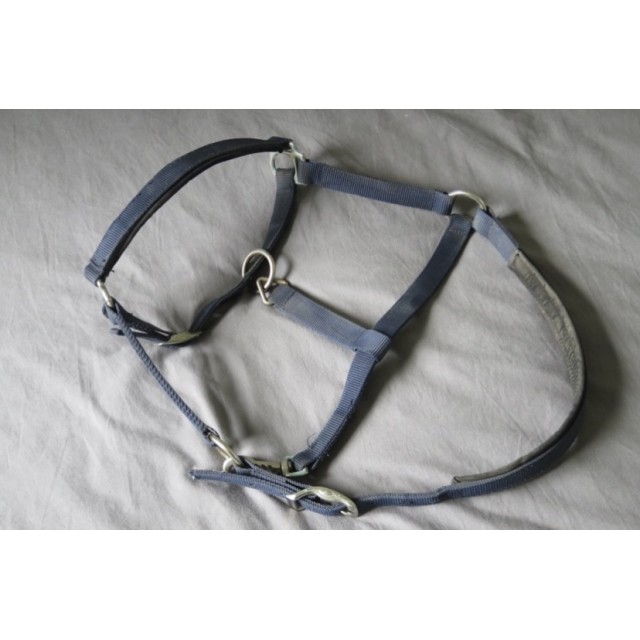 Licol bleu marine taille cheval fouganza