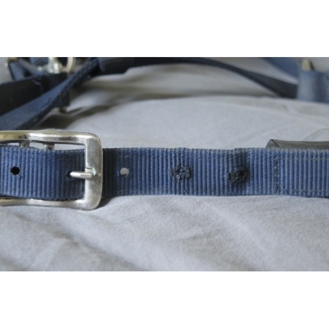 Licol bleu marine taille cheval fouganza