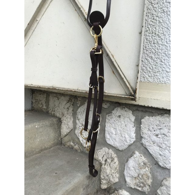Martingale & collier de chasse