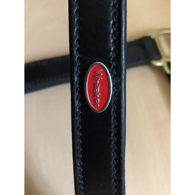 Licol cuir noir Whitaker