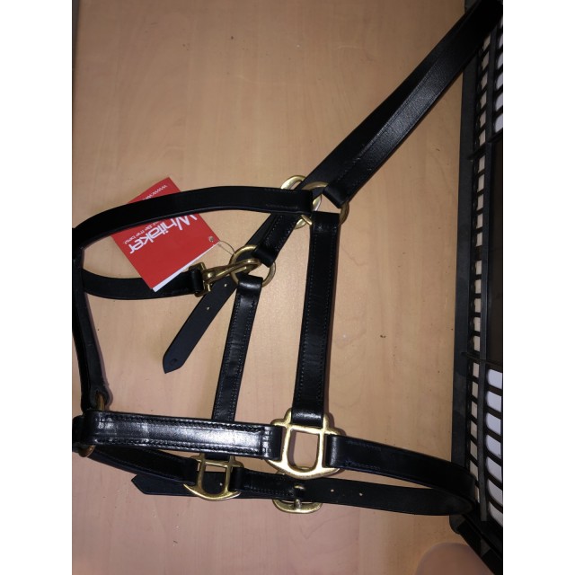 Licol cuir noir Whitaker