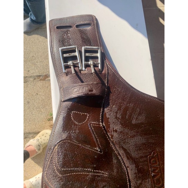 Sangle bavette CWD 50cm