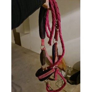 Ensemble licol + longe 2m rose Winner