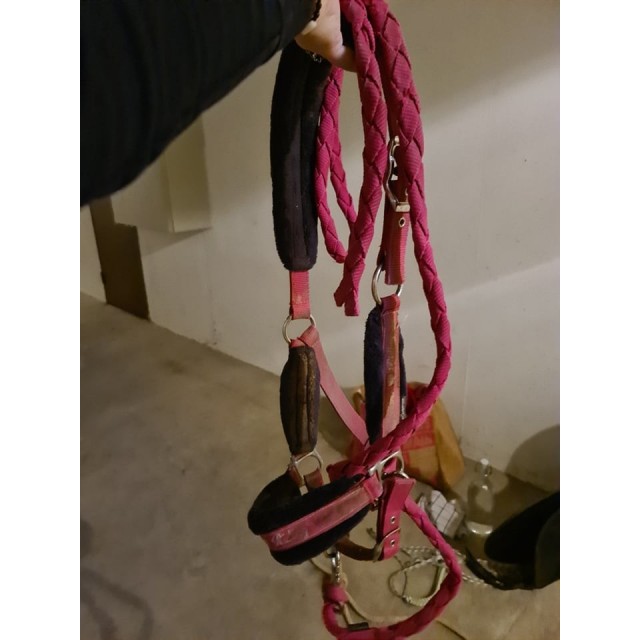 Ensemble licol + longe 2m rose Winner