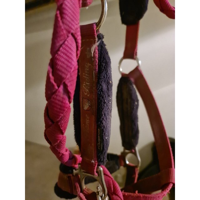 Ensemble licol + longe 2m rose Winner