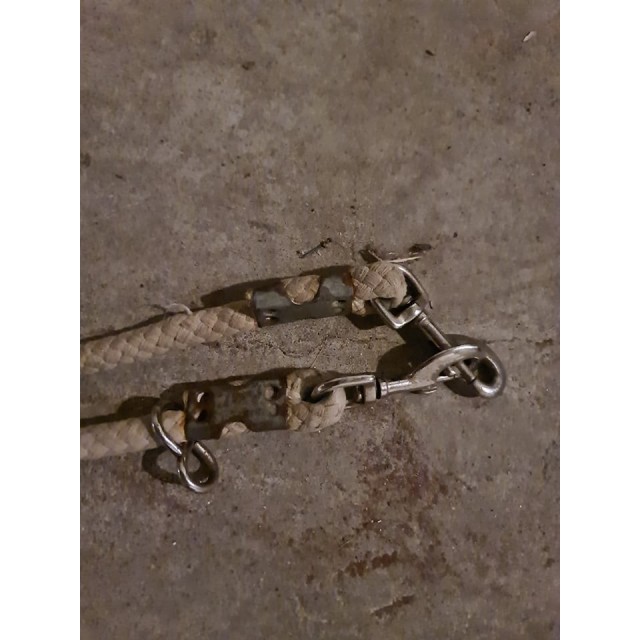 Licol éthologique pour des petites têtes