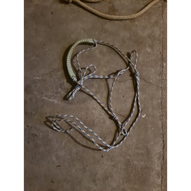 Licol éthologique pour des petites têtes