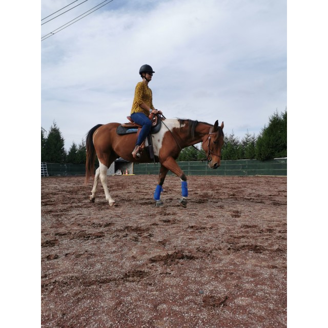 Bandes de polo Jumptec